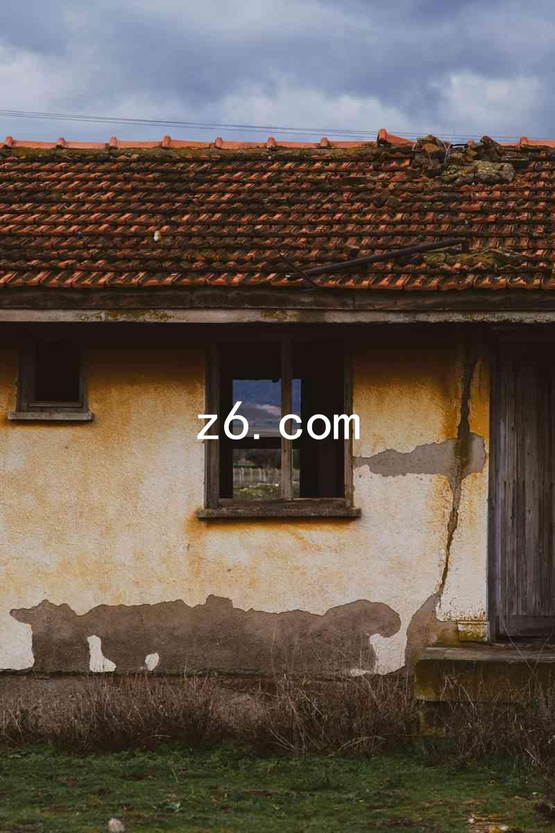 z6.com
