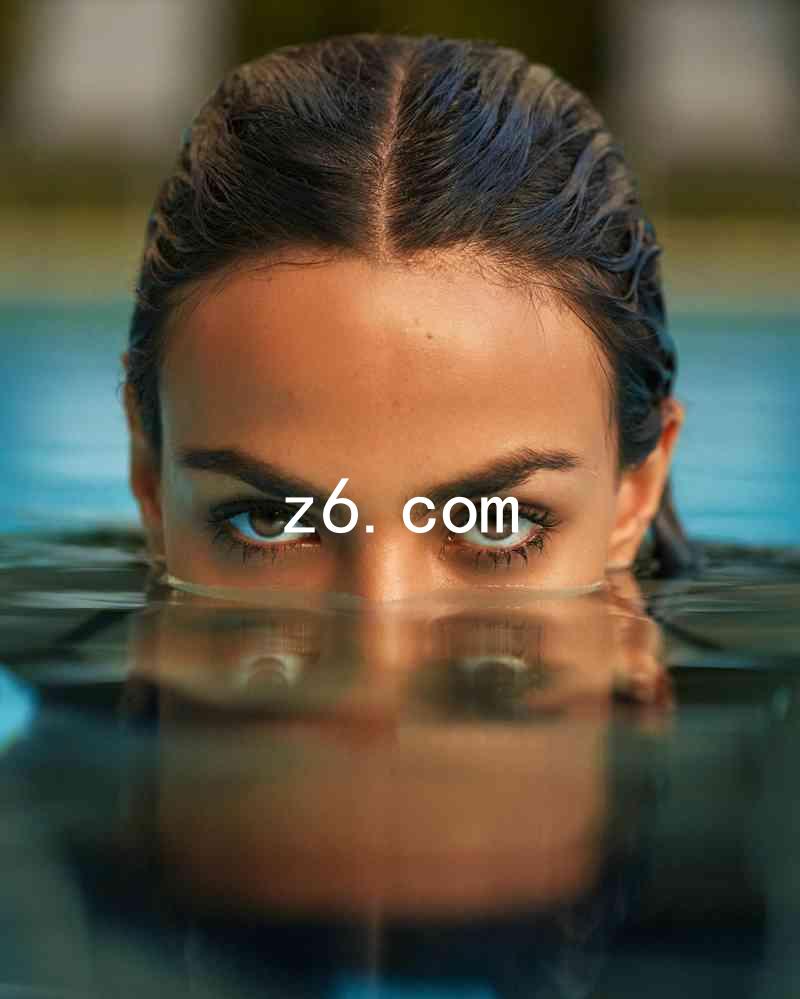 z6.com